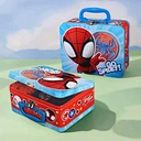 OEM tin packaging